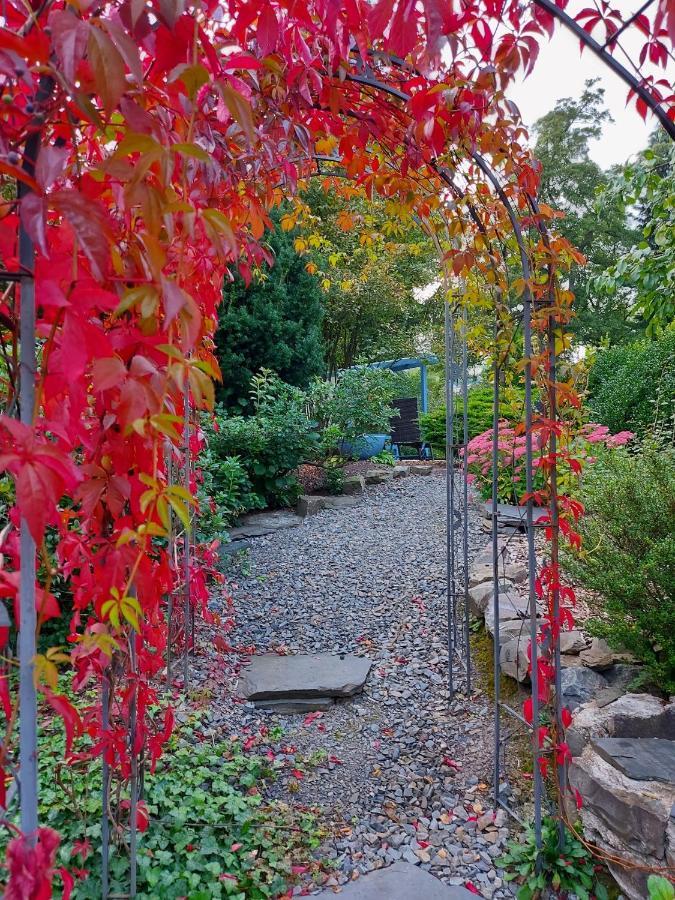 Maries bunte Villa Bad Berleburg Esterno foto