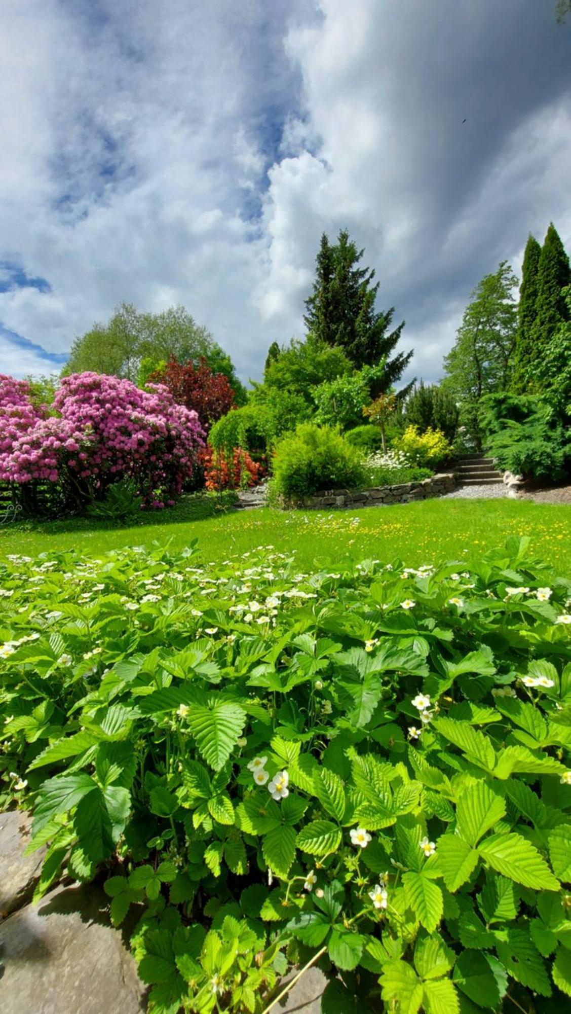 Maries bunte Villa Bad Berleburg Esterno foto