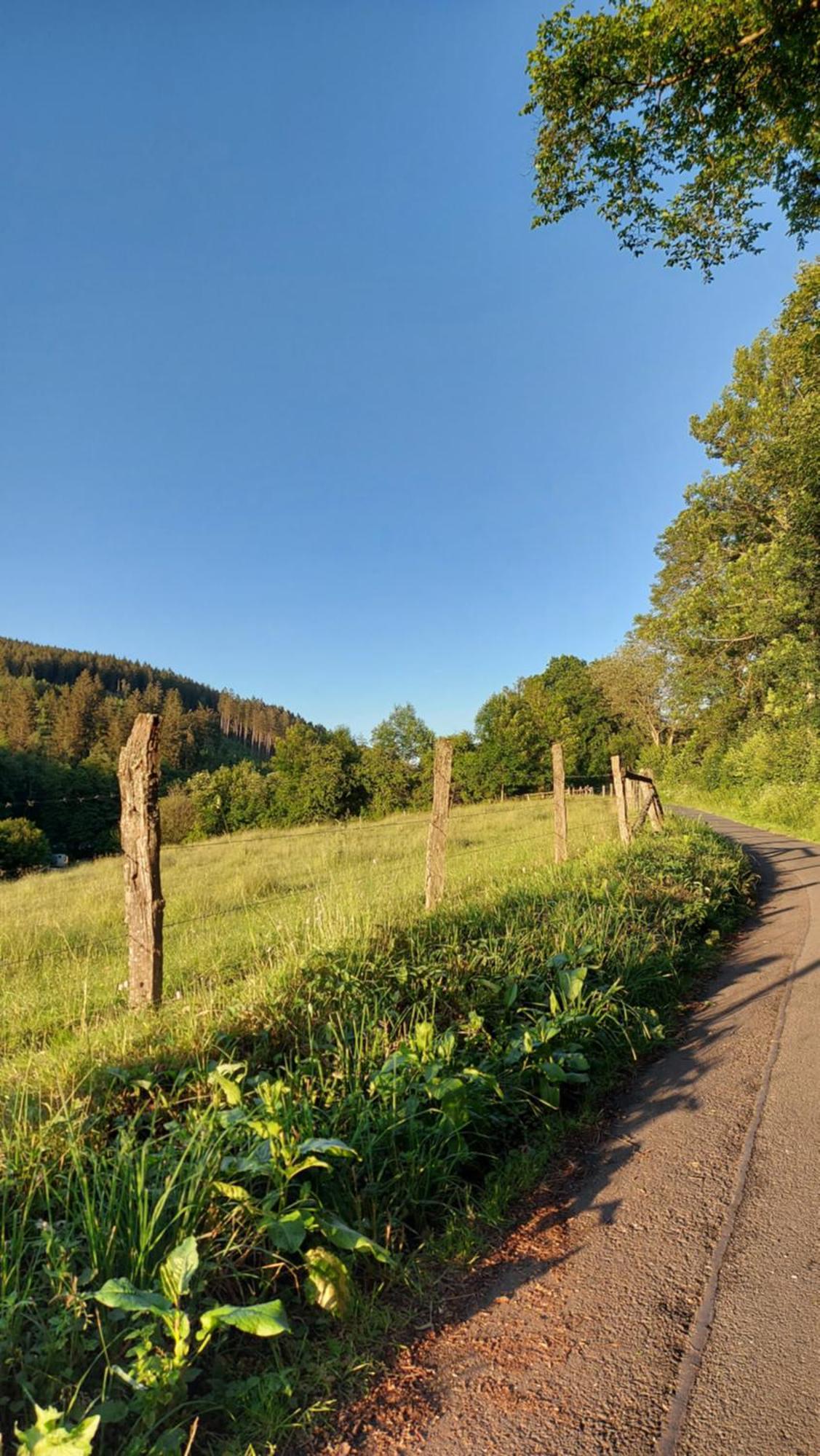 Maries bunte Villa Bad Berleburg Esterno foto